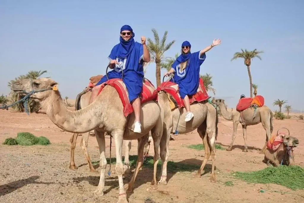 6 Best Camel Tours in Marrakech for 2024