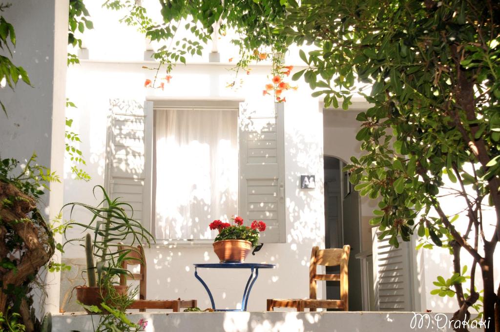 Best Hostels in Paros, Greece