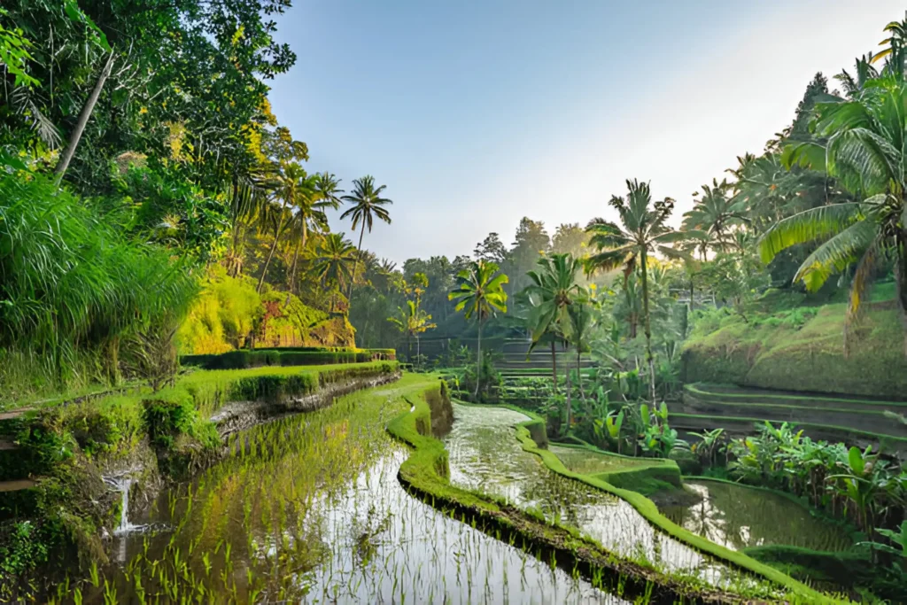 Affordable Luxury: 7-Day Bali Itinerary